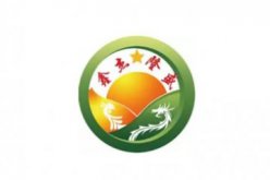 涿州市鑫杰隆盛路桥养护有限公司